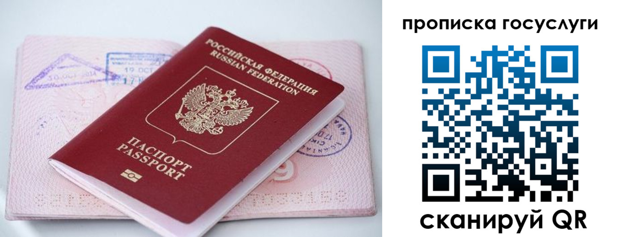 прописка законно в Балашихе